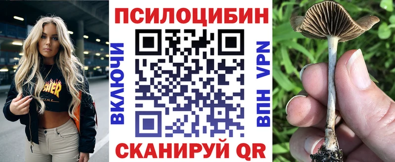 наркота  Краснознаменск  Галлюциногенные грибы прущие грибы 